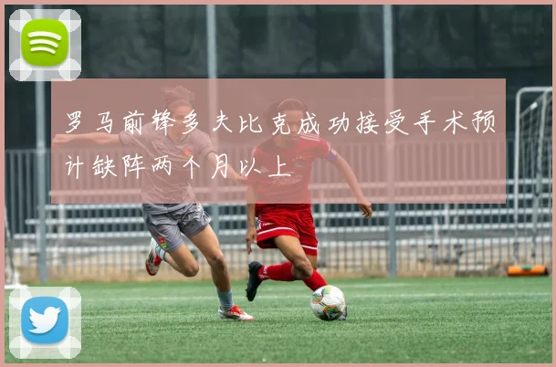 罗马前锋多夫比克成功接受手术预计缺阵两个月以上
