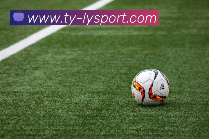 乐鱼体育平台生态图