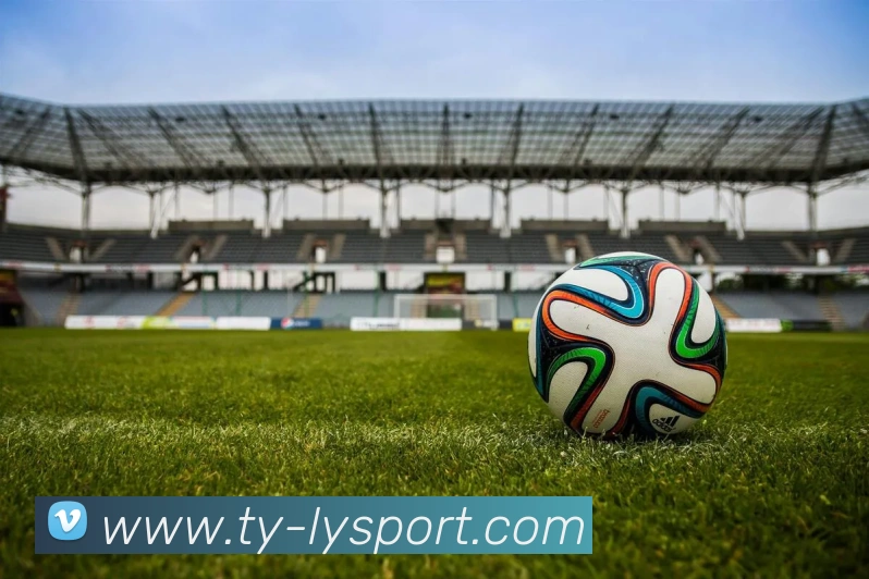 乐鱼体育APP 封面图